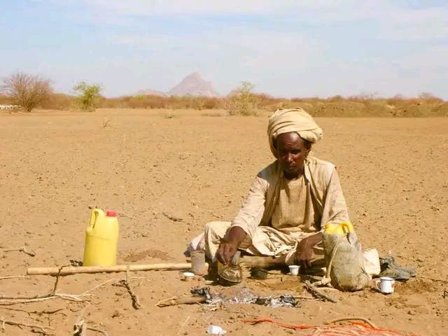 الجفاف يفاقم أزمة المياه ويعطل الزراعة في همشكوريب