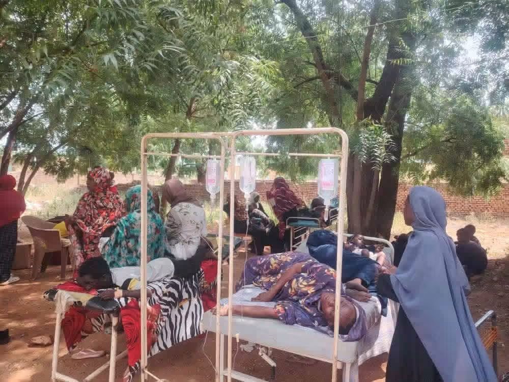 تسجيل 1,407 إصابات بحمى الضنك في سنار ومخاوف من تفاقم التفشي
